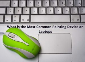 What is the Most Common Pointing Device on Laptops