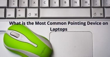 What is the Most Common Pointing Device on Laptops